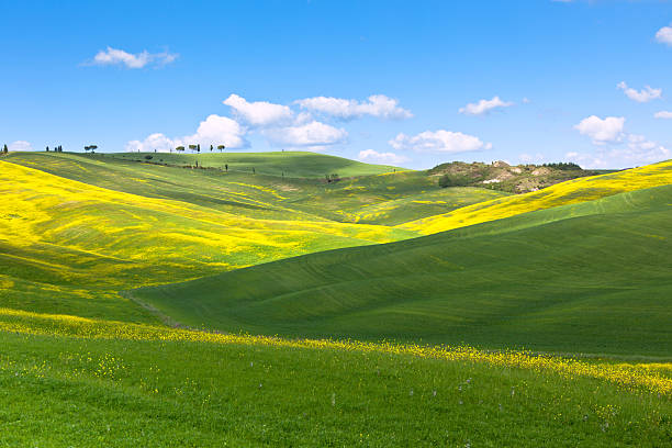 istock Outdoor Tuscan Val d'Orcia hills 147953639