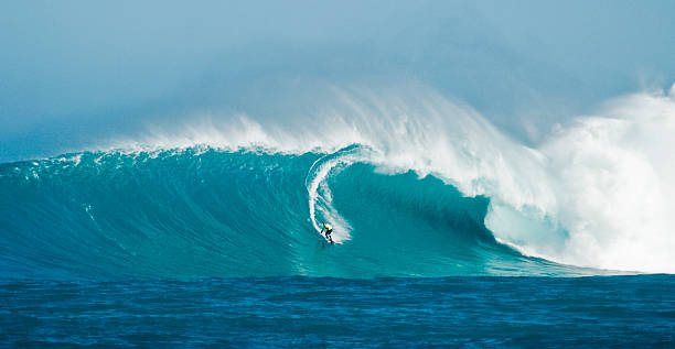 surfing gigantyczne fale - giant zdjęcia i obrazy z banku zdjęć