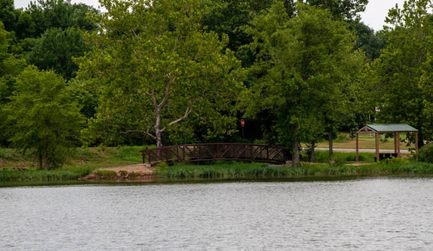 istock Peaceful park scene on a warm day 1479542828