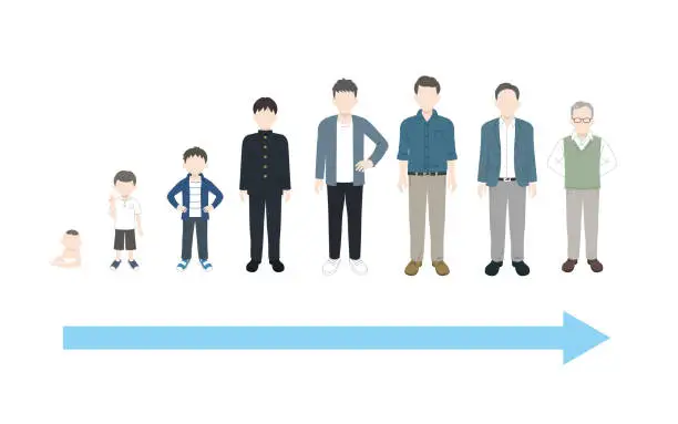 Vector illustration of Age related changes and growth in men