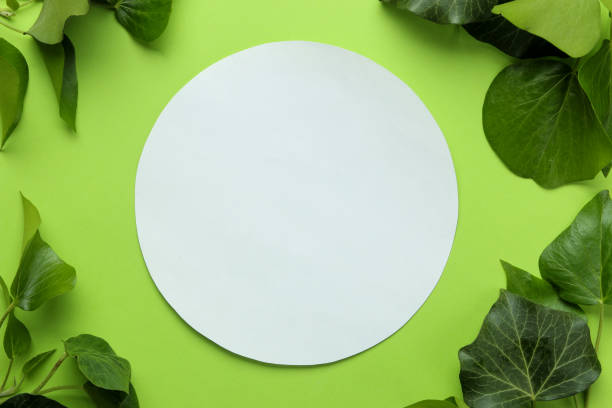 istock Abstract summer composition. Blank for text and beautiful green ivy leaves on bright green background. top view. free place 1479554684