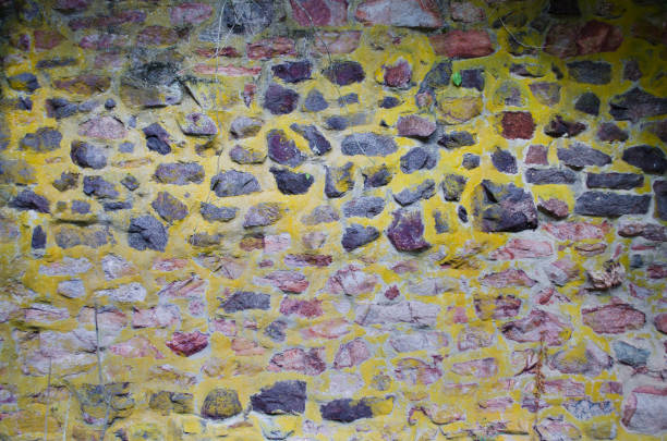 Yellow moss on old concrete wall built on an estate