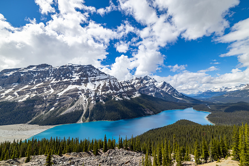 A teen hiker at Bow Summit overlooking Peyto Lake in Banff National Park on the Icefields Parkway. The glacier-fed lake is famous for its bright turquoise colored waters in the summer.