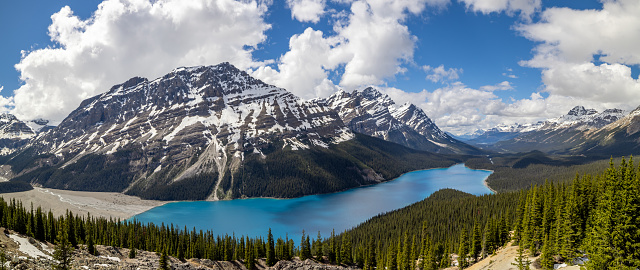 Panoramic Picture of Peyto Lake, Banff National Park, Alberta, Canada during Summer