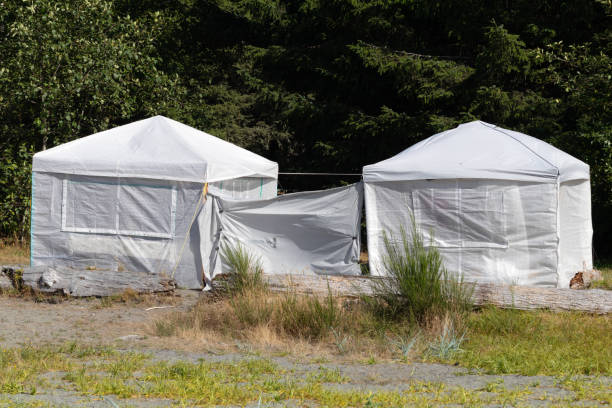 istock Summer Camping, Vancouver Island, B.C 1479572315