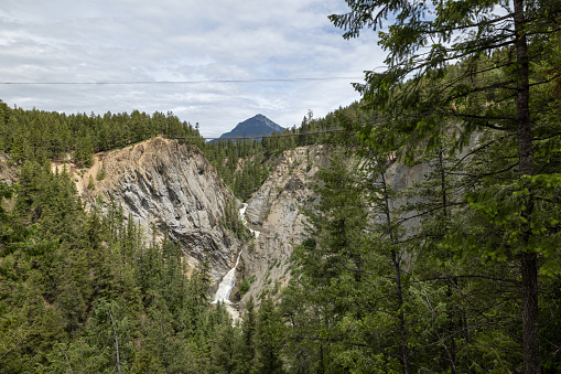 Yellowstone NP, WY, USA - August 15, 2020: The different kinds of trials going to its scenic destination