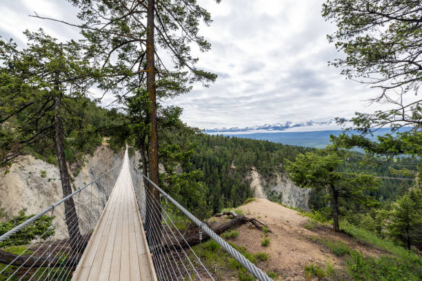 POV Walking Over Wooden Suspension Bridge, British Columbia, Canada