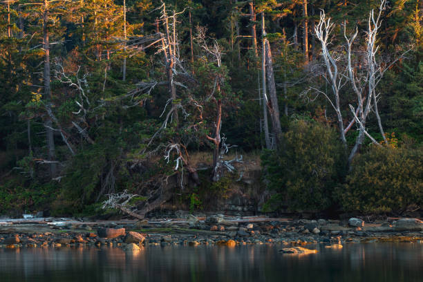 istock Hornby Island, British Columbia, Canada 1479574620