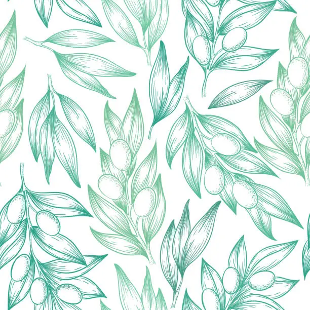 Vector illustration of Seamless vector pattern with green hand drawn jojoba branches and leaves isolated on white background. Botanical design for print, card, textile, beauty and cosmetic products packaging