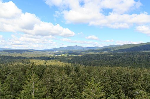 Mountain and tree panorama view seen from Treetop Walk Bavarian Forest in Bavarian Forest National Park, Germany