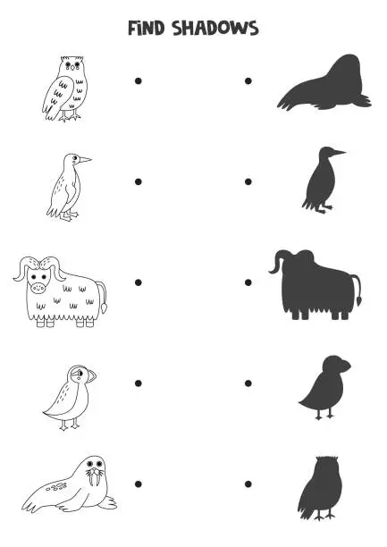 Vector illustration of Find the correct shadows of black and white arctic animals. Logical puzzle for kids.