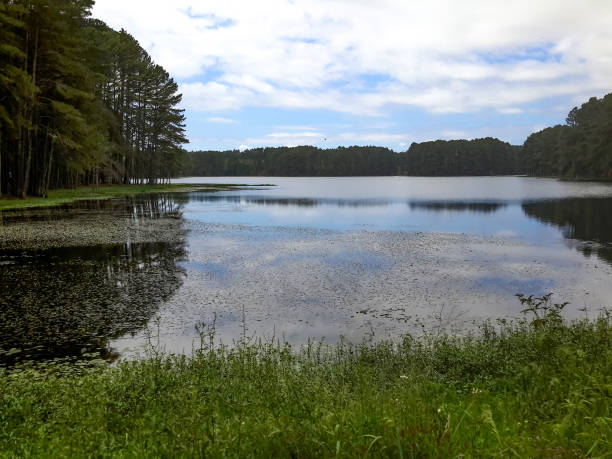 istock Landscape view of a lake 1479588383