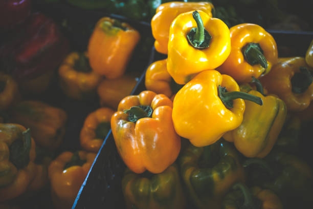 Ripe vegetables at the vegetable fair