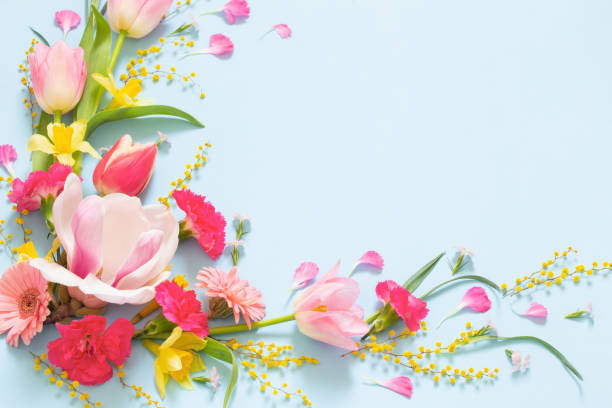 istock beautiful spring flowers on blue background 1479594012
