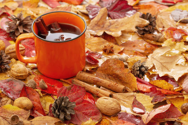 pomarańczowa filiżanka kawy z przyprawami na tle jesiennych liści - herbata odchodzi zdjęcia i obrazy z banku zdjęć