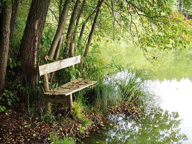 istock autumn at the lake 147959541