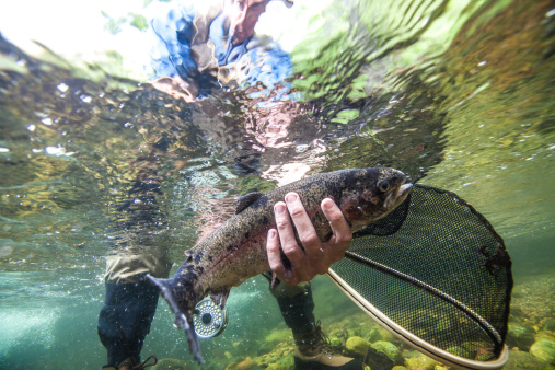 Fisherman catch underwater perspective