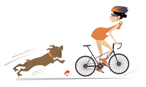 怒っている犬とサイクリストの女性のイラスト - bicycle isolated white background cycling点のイラスト素材／クリップアート素材／マンガ素材／アイコン素材
