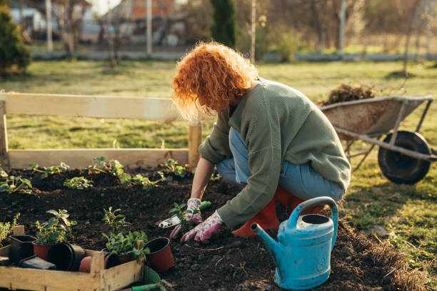 istock woman gardening in home backyard 1479603242