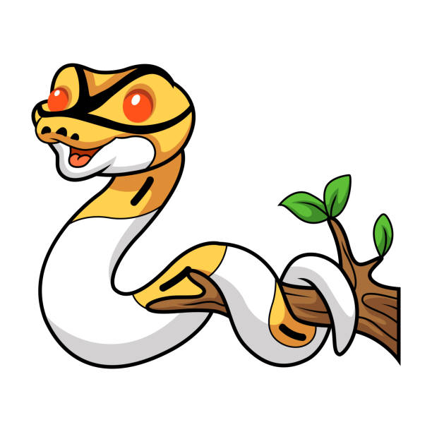 S Cartoon Ball Python 90+ Ball Python Stock Illustrations, Royalty-Free Vector Graphics ...