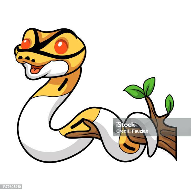 Cartoon Diamondback Python Cute Albino Pied Ball Python Cartoon On Tree Branch Stock Illustration ...