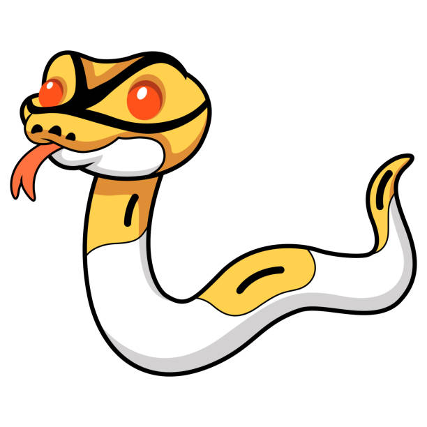 90+ Ball Python Stock Illustrations, Royalty-Free Vector Graphics ...
