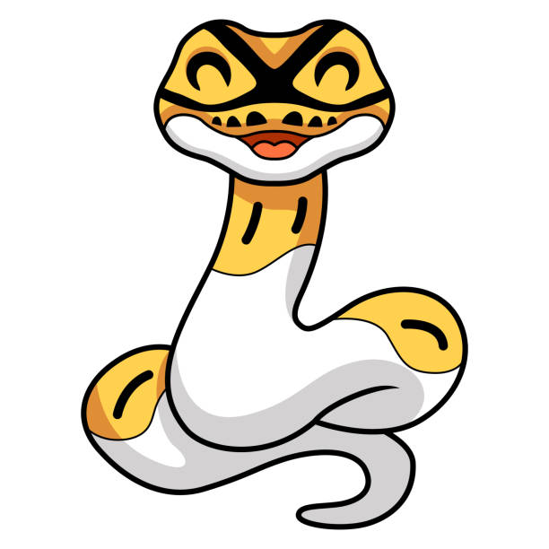 Cute Python Drawing Cute Super Cinnamon Banana Ball Python Cartoon