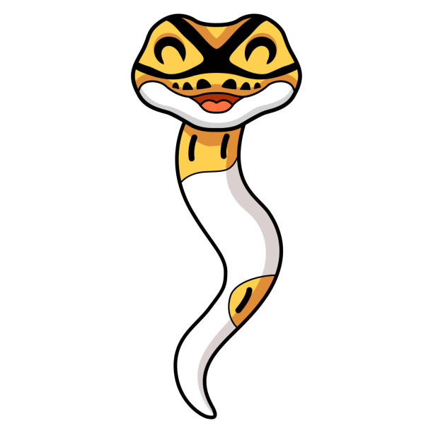 70+ Ball Python Cartoon Stock Illustrations, Royalty-Free Vector ...