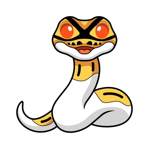 Cartoon Diamondback Python 70+ Ball Pythons Cartoon Stock Illustrations, Royalty-Free Vector ...