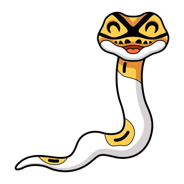 Cartoon Diamondback Python 70+ Ball Python Cartoon Stock Illustrations, Royalty-Free Vector ...