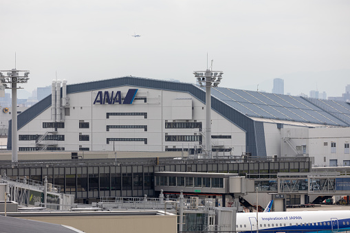 Osaka, Japan - August 20, 2022 : All Nippon Airways at the Osaka International Airport (Itami Airport) in Japan.