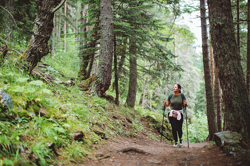 istock Adult woman hiking at forest 1479610313