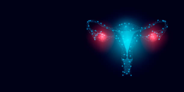 World ovarian cancer awareness day concept. Banner template with text and glowing low poly uterus and ovarian. Modern abstract dark background. Vector illustration. World ovarian cancer awareness day concept. Banner template with text and glowing low poly uterus and ovarian. Modern abstract dark background. Vector illustration. ovarian cancer stock illustrations