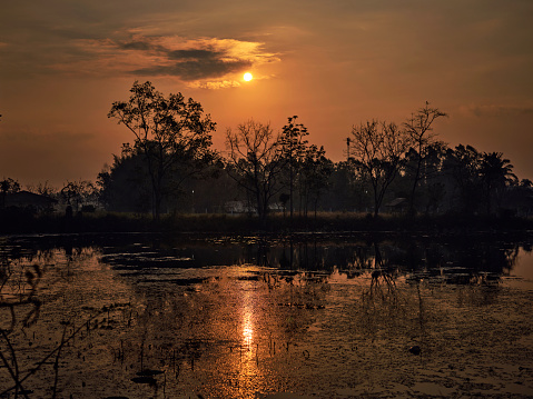 The Golden light.Golden sky in THAILAND countryside background .