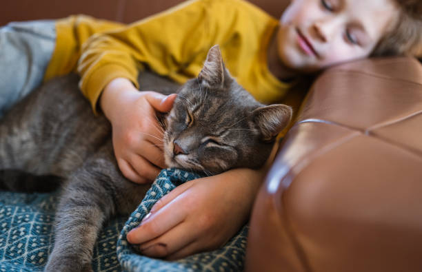 istock Relaxed kid enjoying with cat at home 1479611042