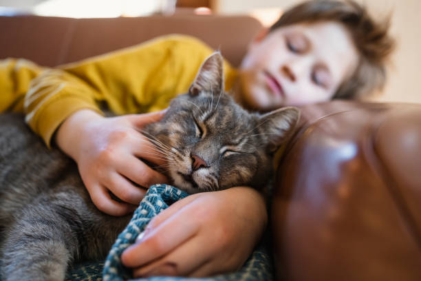 istock Relaxed kid enjoying with cat at home 1479611046