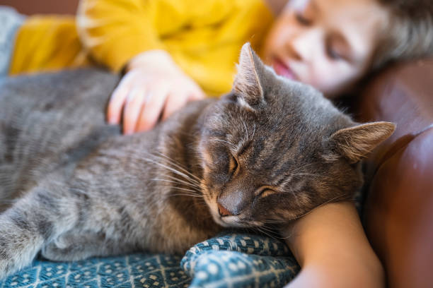 Relaxed kid enjoying with cat at home