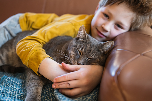 Relaxed kid enjoying with cat at home