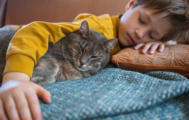 istock Relaxed kid enjoying with cat at home 1479611118