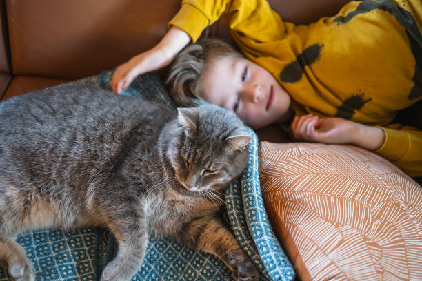 istock Relaxed kid enjoying with cat at home 1479611164