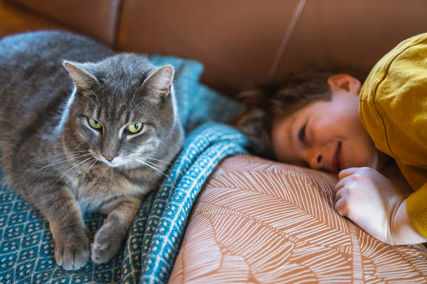 istock Relaxed kid enjoying with cat at home 1479611165