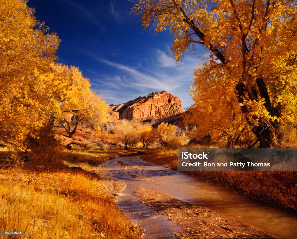 Automne dans le Parc National de Capitol Reef - Photo de Automne libre de droits