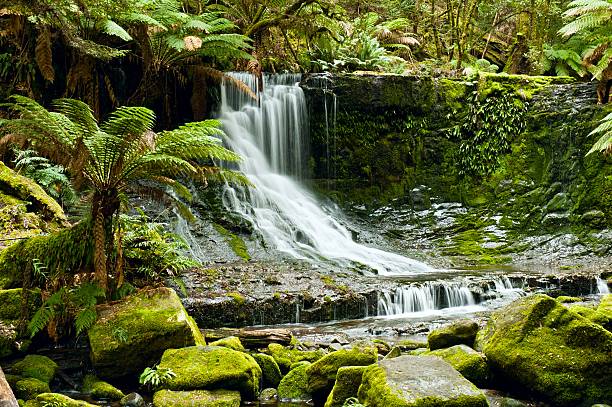 istock Horseshoe Falls, Mt Field National Park 147961785