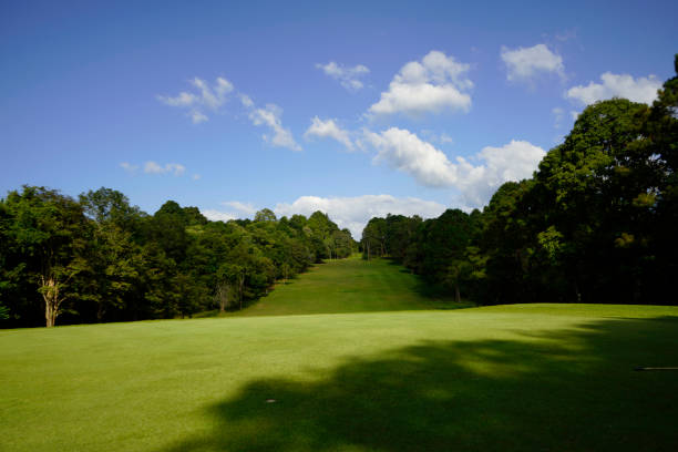 istock The evening golf course has sunlight shining down at golf course in Thailand 1479621044