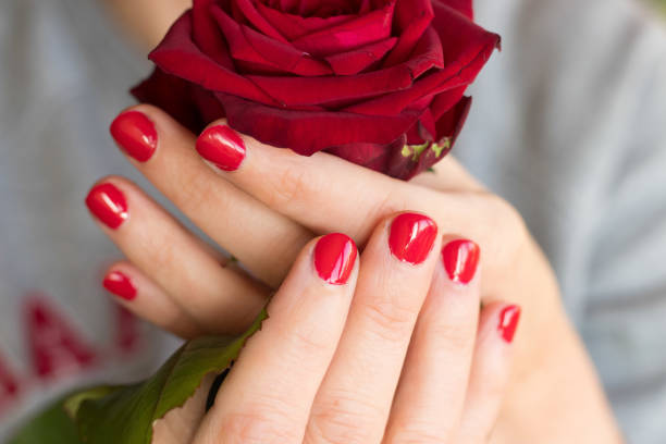 istock Red rose and flowers, romance 1479621190