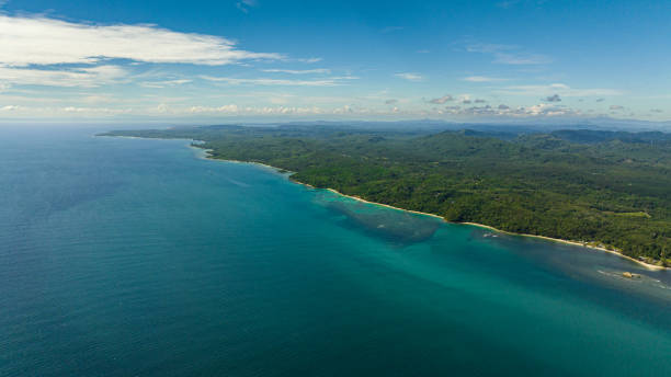 istock Beautiful tropical beach. Borneo, Malaysia. 1479622690