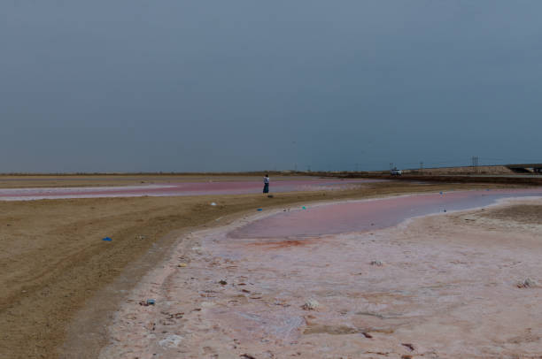 istock Pink lakes in Oman 1479626887