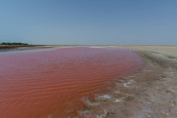 istock Pink lakes in Oman 1479626898