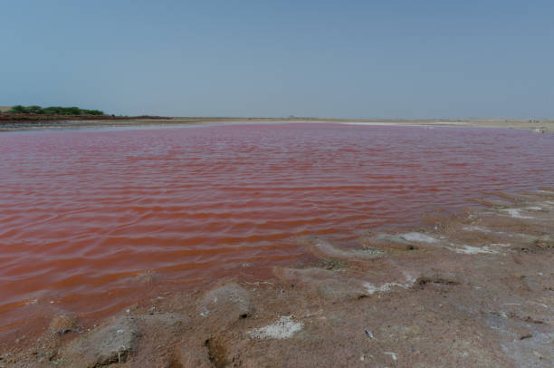istock Pink lakes in Oman 1479626899