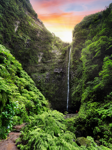 Ruta de senderismo con bosque en Levada do Caldeirao Verde waterfall Trail - paisaje tropical en la isla de Madeira, Santana, Portugal. photo